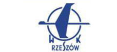 WSK Rzeszow Turbochargers spare parts