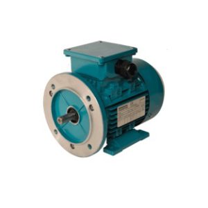 brook1.jpg BROOK CROMPTON electric motors