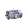 celma1.jpg CELMA electric motors
