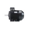 hoyer2.jpg HOYER electric motors