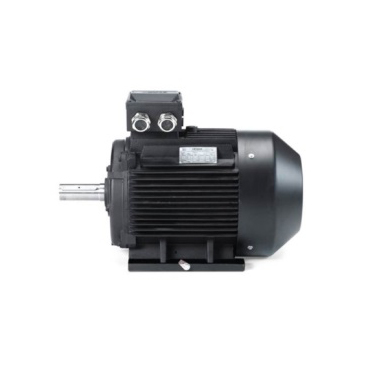 hoyer2.jpg HOYER electric motors
