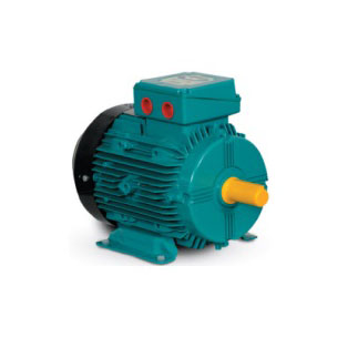 tamel1.jpg TAMEL electric motors